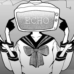 ECHO card cover