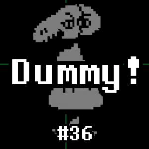 036dummy card cover